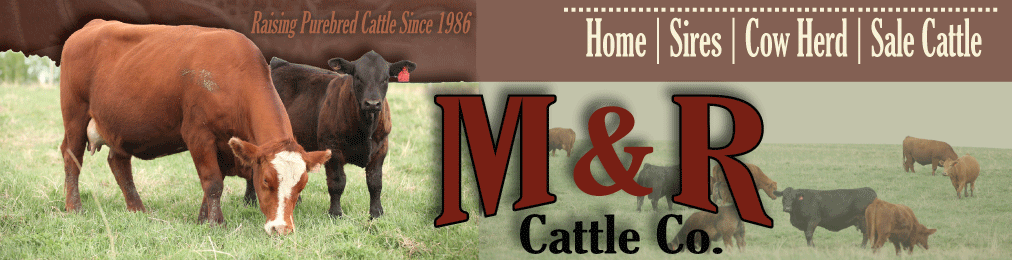 M&R Cattle Co.