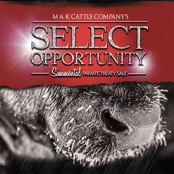 2019 Select Opportunity Simmental Bull Sale